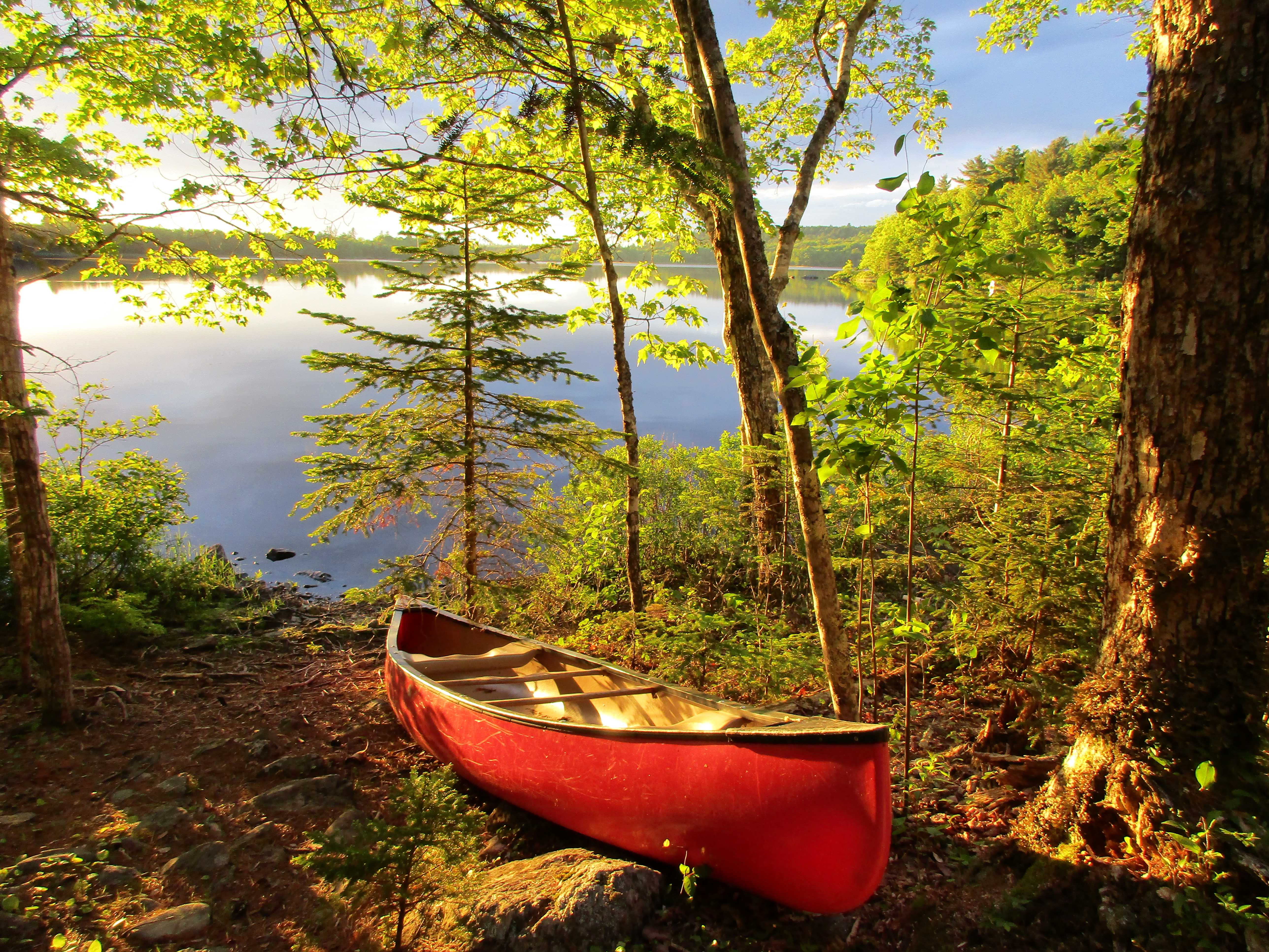 Canoe