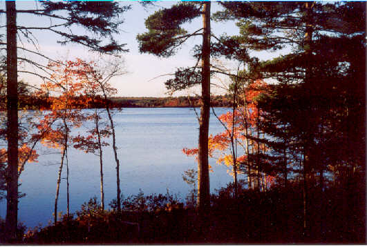 Fall from Log Cabin