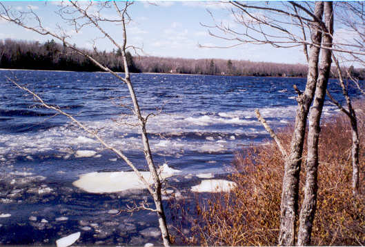 Iceout