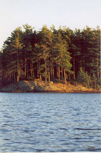 Bluff Point