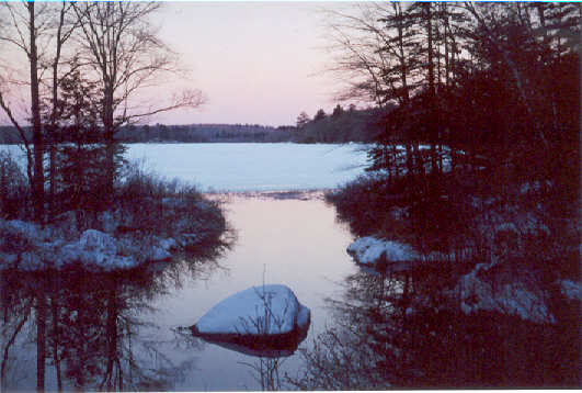 Mill Stream outlet